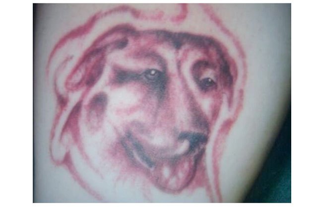 top 10 worst dog tattoos ever