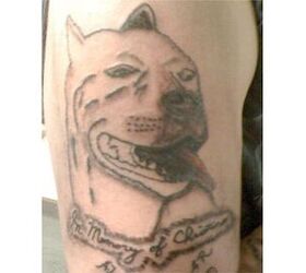 Man tattoos pit bull Is that animal cruelty  CSMonitorcom