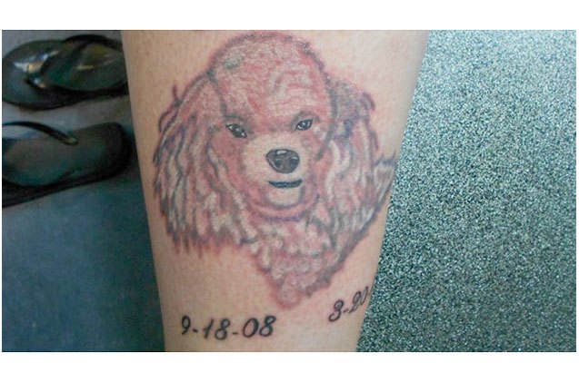 top 10 worst dog tattoos ever