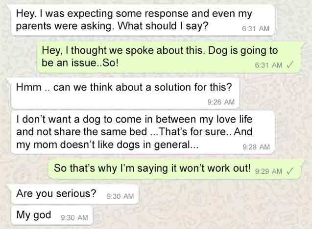bride rejects marriage proposal because groom hates dogs