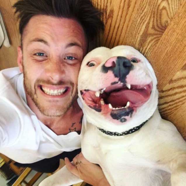 upsidedown dog who sparked debate gets to stay where he belongs
