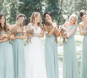 Bullies Replace Bouquets in the Best Wedding Photos Ever
