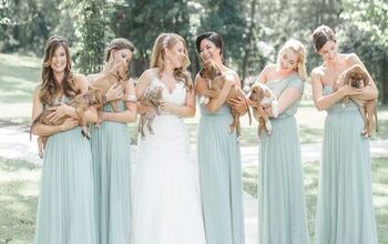 Bullies Replace Bouquets in the Best Wedding Photos Ever