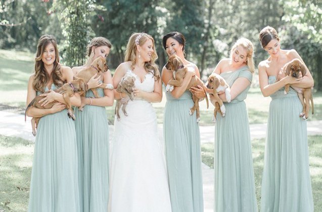 bullies replace bouquets in the best wedding photos ever