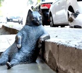 famous fat cat who inspired meme honored with statue