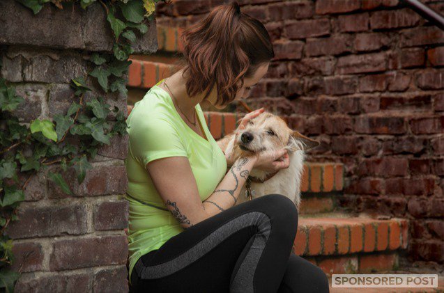 why treats are beneficial to your dog s health and well being