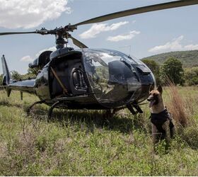 Sky-Diving Dogs Take African Poachers Out