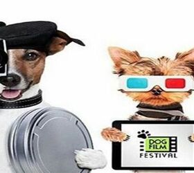 New York City Rolls Out the Red Carpet For Dog Film Festival