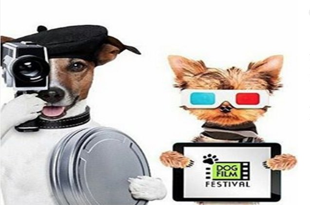 new york city rolls out the red carpet for dog film festival