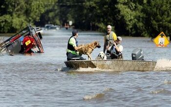 AKC Reunite Team Brings Hurricane Relief To Furry Victims