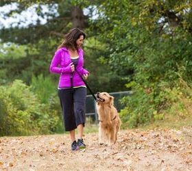 Are Dog Walkers the New Crime Busters?