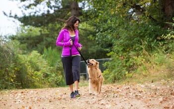 Are Dog Walkers the New Crime Busters?