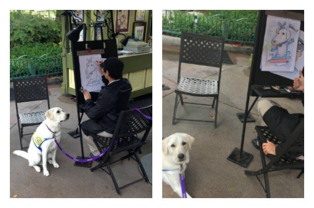 disney caricature of service dog is picture perfect