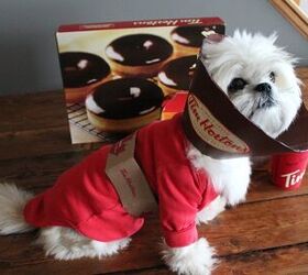 DIY Dog Halloween Costume: Tim Hortons Coffee Cup