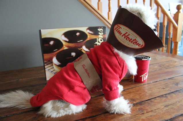 disfraz de halloween para perro diy taza de café de tim hortons