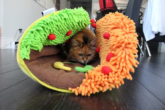 product review taco meoow cat bed