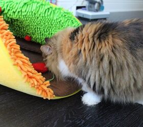 Cat taco clearance bed