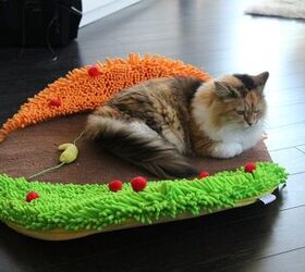 product review taco meoow cat bed