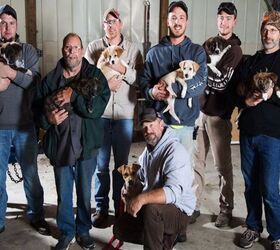 adorable puppies crash bachelor party in the best way ever