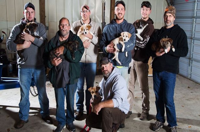 adorable puppies crash bachelor party in the best way ever