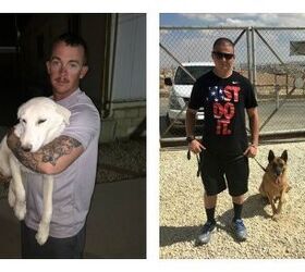 Heroic Dogs And Their Humans Need Your Help to Get to US