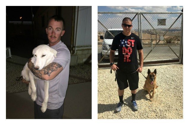 heroic dogs and their humans need your help to get to us