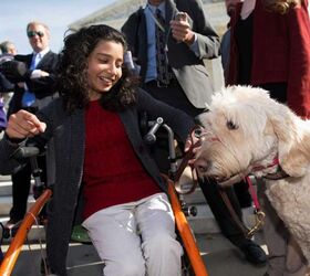 Service Dog Denied Entry Into Elementary School Heads to Supreme Court
