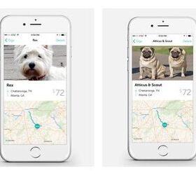 roadie app helps canine cancer patients get to vet appointments