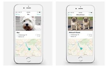 Roadie App Helps Canine Cancer Patients Get to Vet Appointments
