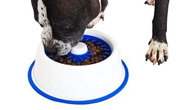DentaDish Dog Bowl Stops Bloat and Brushes Teeth