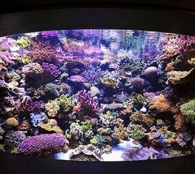 Daily and Weekly Coral Reef Tank Maintenance Schedule