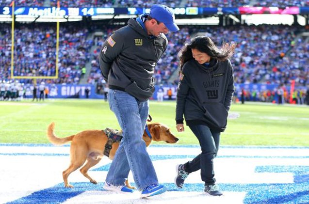 army veteran receives fur prise of his life at new york giants game