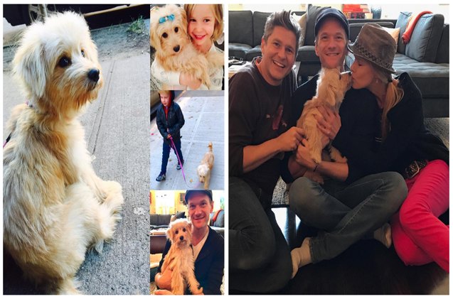neil patrick harris adds a rescue pup to his family