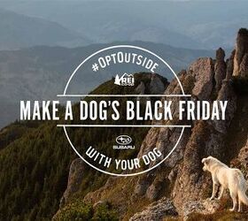 Your Outdoor Adventures Can Help the ASPCA, Thanks to Subaru and REI
