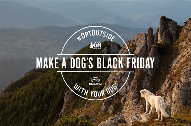 your outdoor adventures can help the aspca thanks to subaru and rei