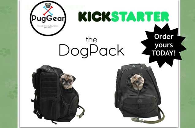 pack a pooch in the awesome dogpack