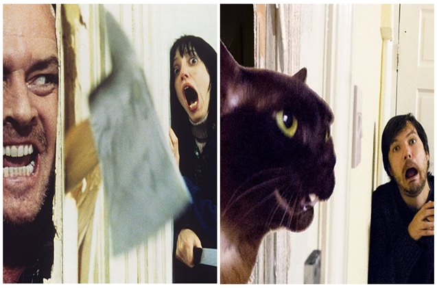 couple recreates epic movie scenes with their cat