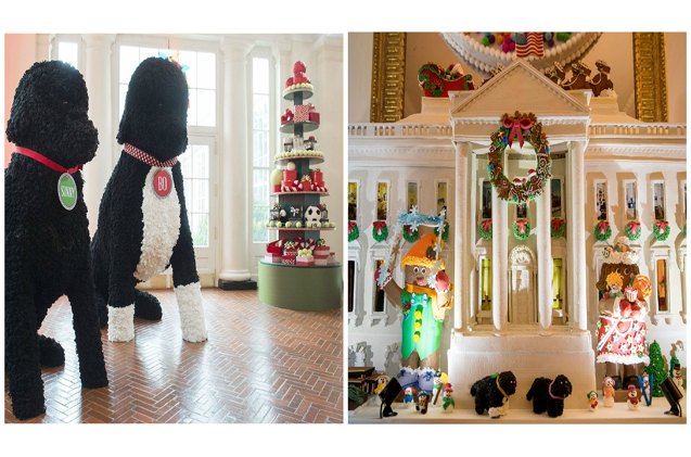presidential pups decorate the white house lawn for the holidays