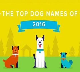 Best Dog Names For 2016 Are Here!