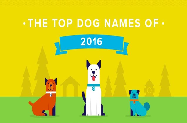 best dog names for 2016 are here