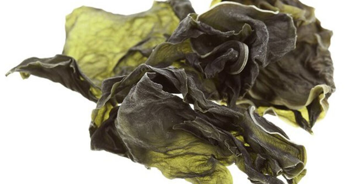 What Are The Benefits Of Kelp For Dogs PetGuide what-are-the-benefits-of-kelp-for-dogs-petguide