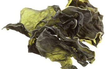 What Are the Benefits of Kelp for Dogs?