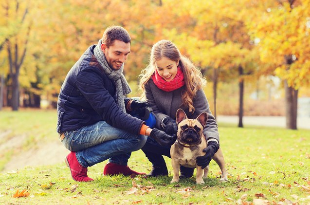 6 questions to ask before you adopt a dog with your partner