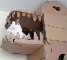 Man Builds Amazing Cat Creations From Cardboard