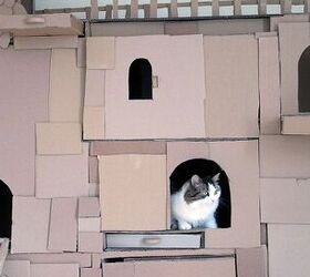 man builds amazing cat creations from cardboard