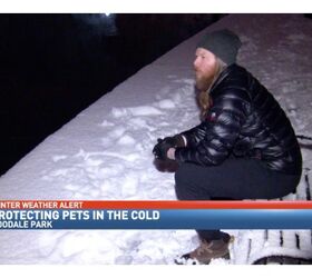 Ohio Business Man Braves The Cold For Family Pets