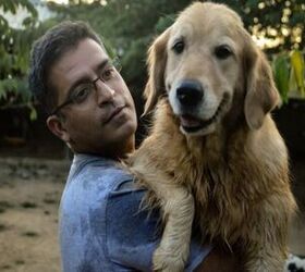 Indian Businessman Opens His Home to 700 Homeless Dogs