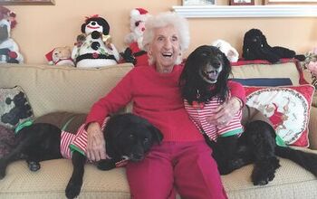 Senior Canines Bring Love And Companionship To Senior Citizens