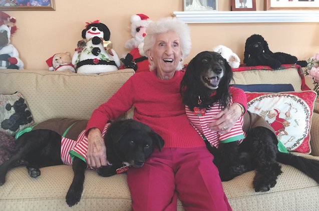 senior canines bring love and companionship to senior citizens