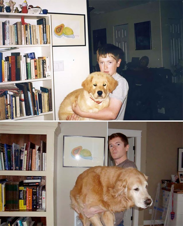 10 dogs growing up with their human siblings